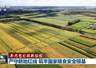 【新思想引领新征程】严守耕地红线 筑牢国家粮食安全根基