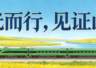 全程实拍，雅鲁藏布江畔，这对夫妻在守护什么？