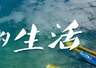 限定快乐!这个暑期,在云南当一回“捡菌人”丨有一种叫云南的生活之365天