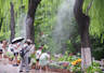 济南趵突泉推泉水花卉小景 亲水赏泉还能逛市集