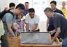 新华视点丨“奔县游”何以有奔头