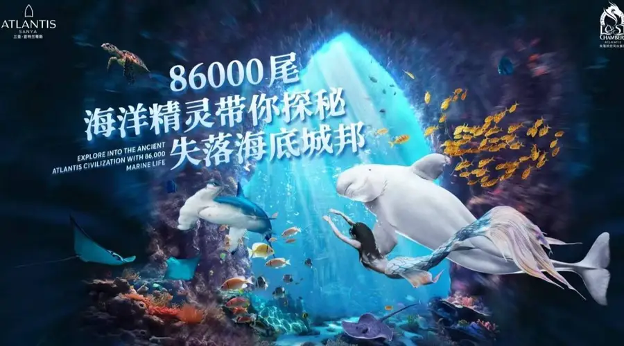 司机从我的行李箱接过,箱子轮子在地上转了两圈