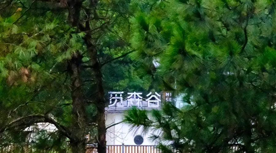 重庆短途私汤民宿推荐 山林休闲新选择