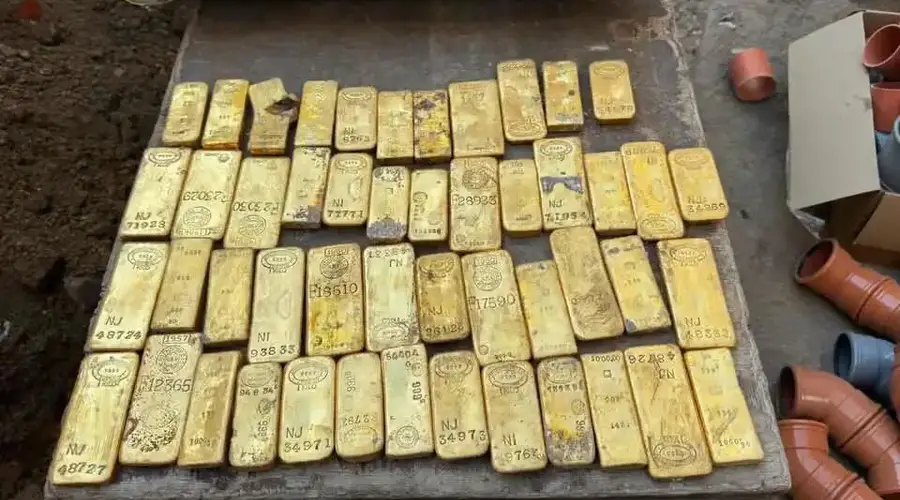 比利时18岁男生暑期打工挖下水道，挖出900万欧元金币