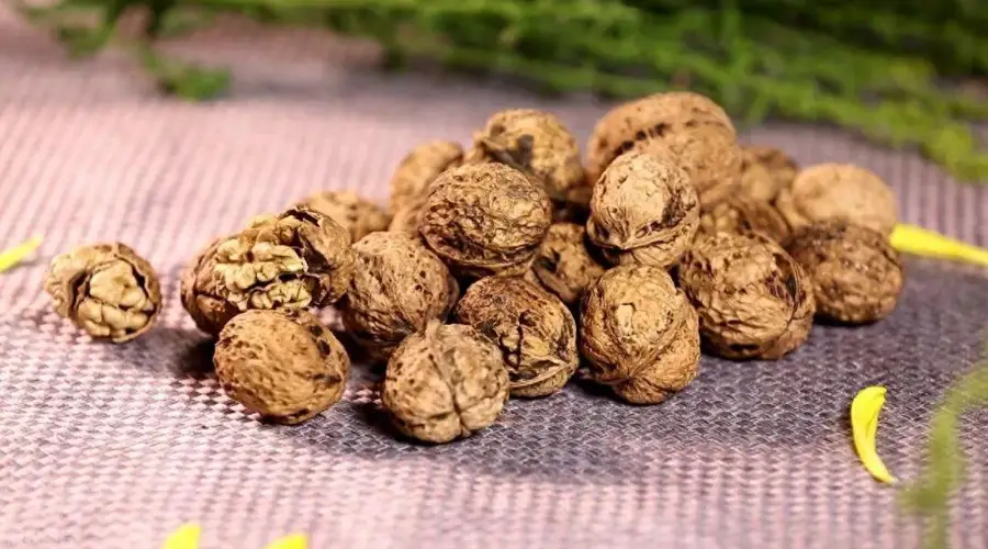 坚果助脑力不退化?哪种坚果最推荐?每天吃多少?想要身体健康,别忘了发酵食品!