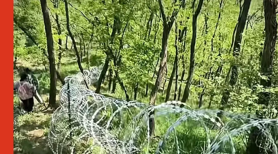 刀片铁丝网围泰山,错哪儿了?