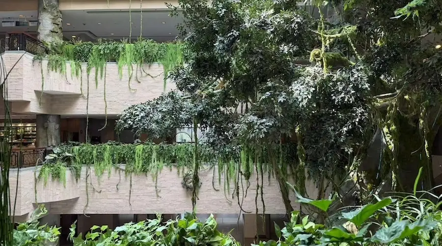 现场|穿过上海市中心的玉米地,遇见6千年美洲古文明