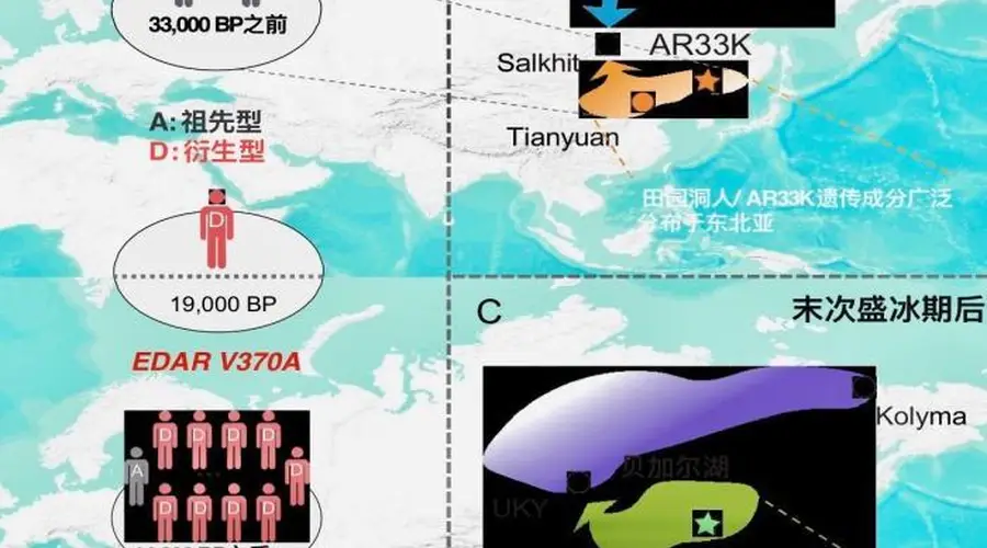 付巧妹：古人类演化研究将向更古老进军和史前更近时代延伸
