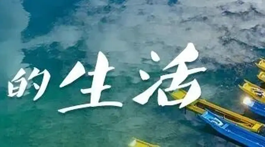限定快乐！这个暑期，在云南当一回“捡菌人”丨有一种叫云南的生活之365天
