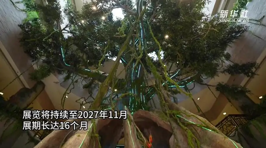 来上海博物馆探秘美洲古文明