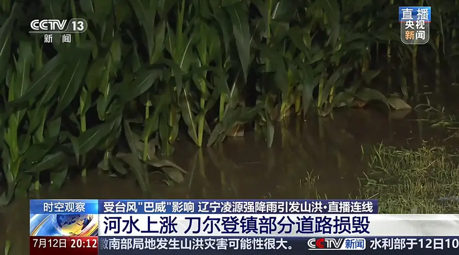 大桥被淹没、玉米泡水1米深,直击辽宁凌源强降雨现场