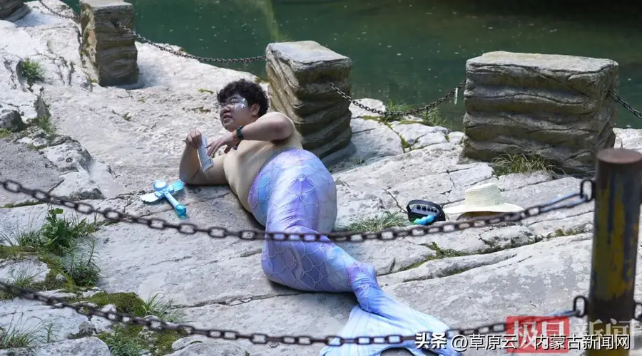 湖北一景区“胖头美人鱼”走红,被网友戏称“胖海象”