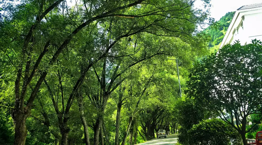 路过秦岭秘藏的中国传统村落,我们又翻越了群峰起伏的南北分水岭