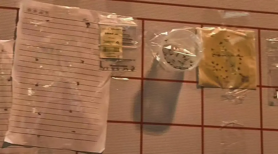 蚊子换奶茶风靡苏北,南京吾悦按兵不动