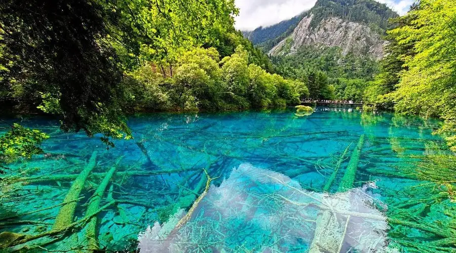 九寨沟湖水染色谣言为何屡禁不止?专家:景区热度催生网络谣言,需理性甄别