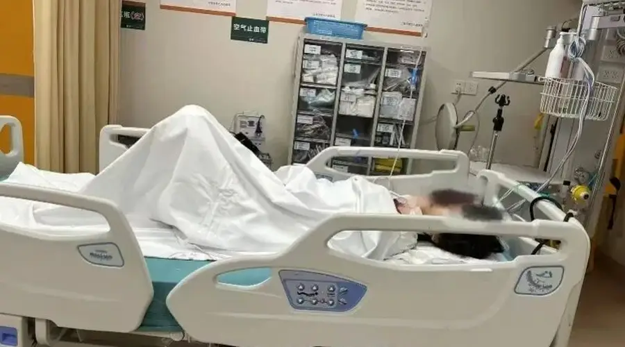 上海反虐猫志愿者轻生被救 家属将协助维权