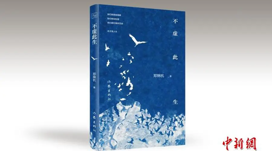 长篇小说《不虚此生》:以文学蒙太奇构筑生命的神话与梦境