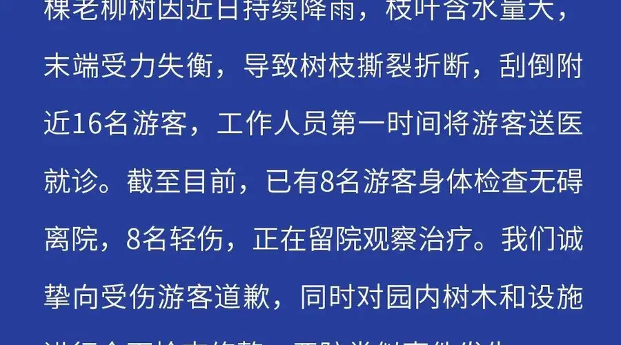 7月27日济南趵突泉一株老柳树树枝折断 致16名游客受伤景区致歉