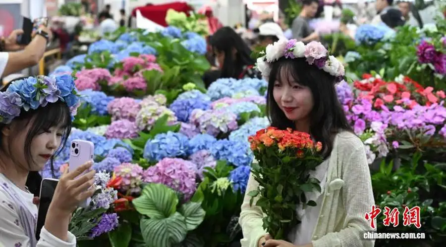 8月5日昆明斗南花市迎暑期客流 游客扎堆选购鲜切花