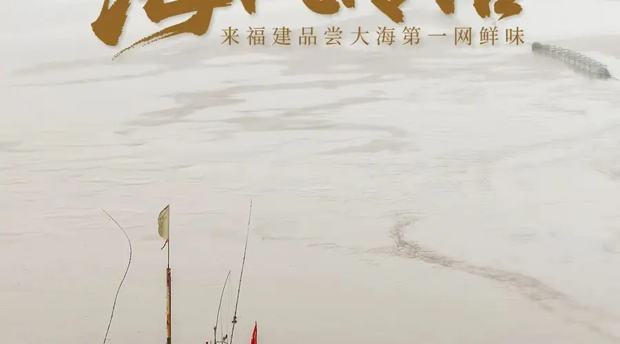 海风传信!来福建品尝大海第一网鲜味