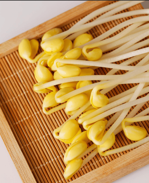 金豆子清水豆芽，藏在烟火里的本味安康