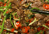 湖南小炒黄牛肉嚼不动?关键得切肉逆纹下刀