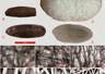 中亚惊现4000年前家蚕蚕茧！中乌联合考古实证桑蚕纺织技艺早2000年西传