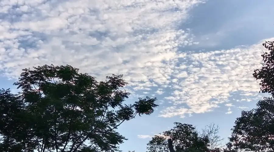 高考698分却称“考砸”:“最差即最优”焦虑背后的新解