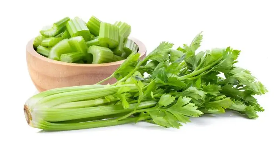 芹菜的营养价值？
