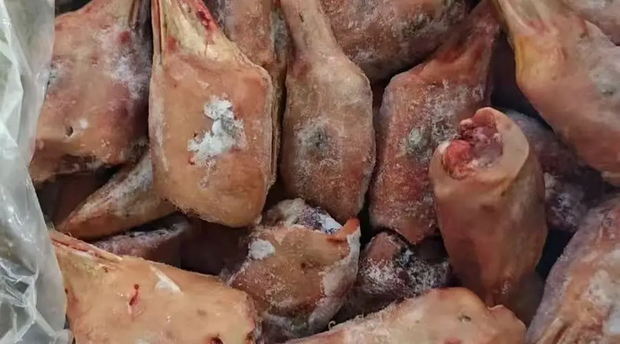 鹅肝在餐饮应用中的选型关注点与适配场景分析