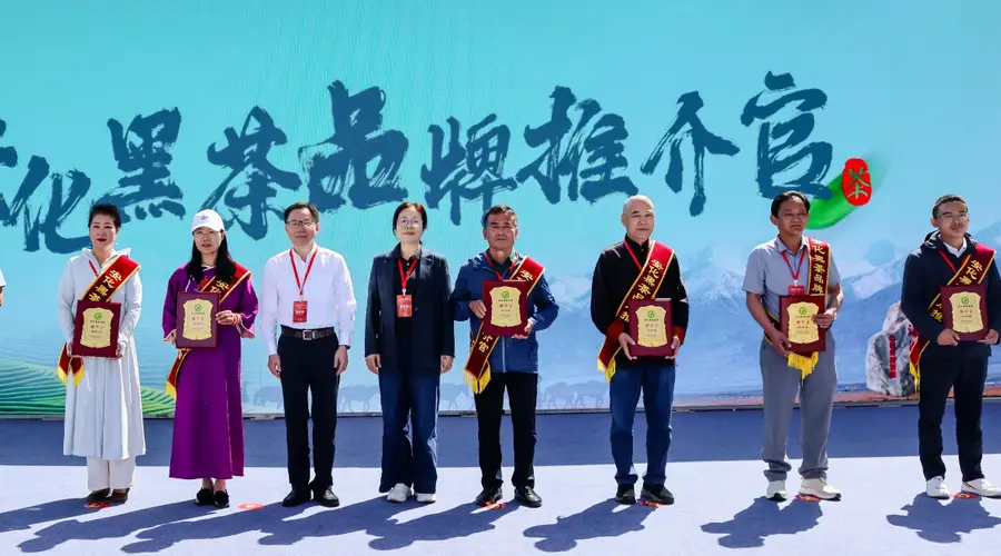 这杯茶 叫益阳——青海省首批安化黑茶品牌推介官的深情告白