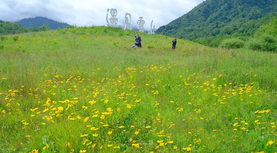 四川石棉：摄影基地百花开，避暑拍照两相宜！