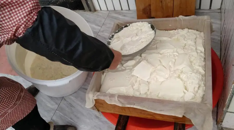 现在的豆腐为啥没味儿：是品种变了还是舌头变了？