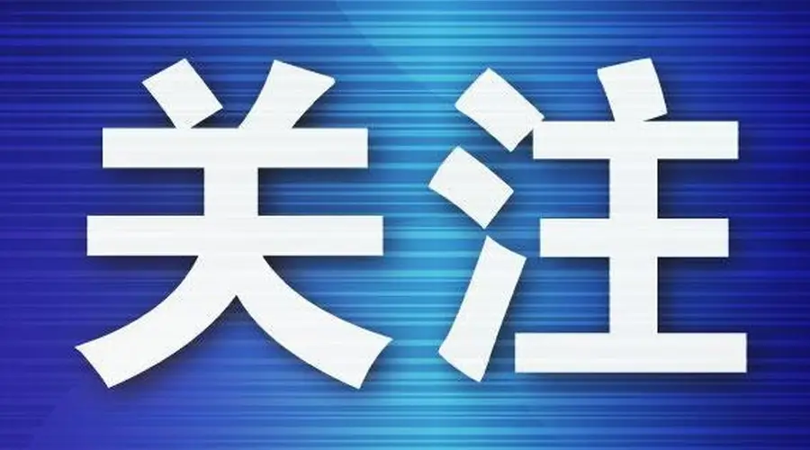男子为发泄情绪谎称航班有炸弹致5架次延误,被判刑一年六个月