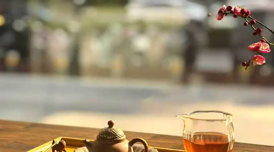 会喝茶的人,从容自在过生活