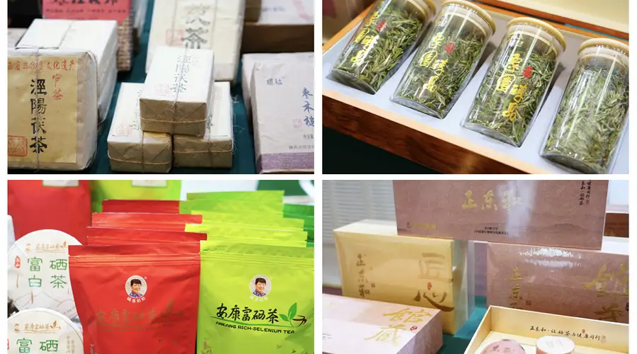 陕茶借古丝路入天山 携新茶香签约拓中亚市场