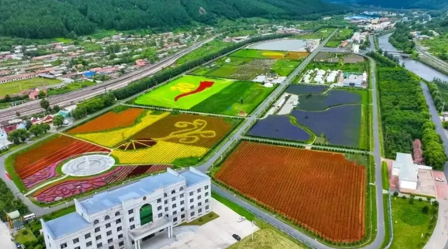 大箐山朗乡花海打造多元体验景区 百万株花卉蓄势待放迎游