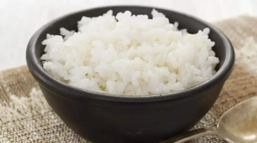 米饭、馒头和面条,减肥期间适合吃哪种主食?用实验数据告诉你
