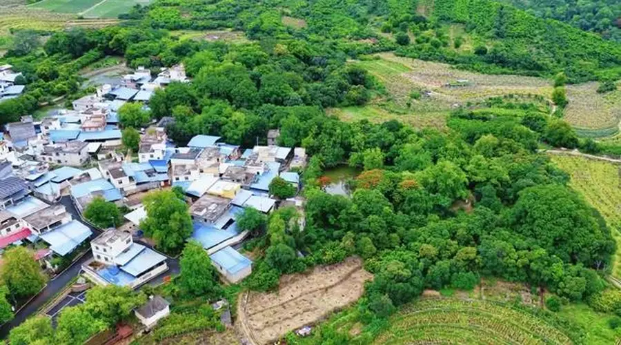 玉溪元江：探寻傣家风情，“醉美”打炭慢时光