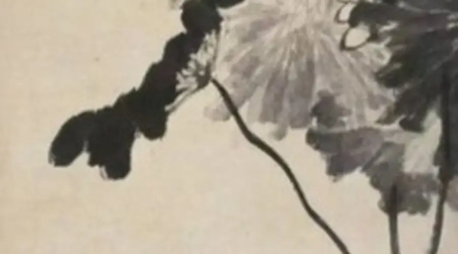 人文|八大山人的“荷”