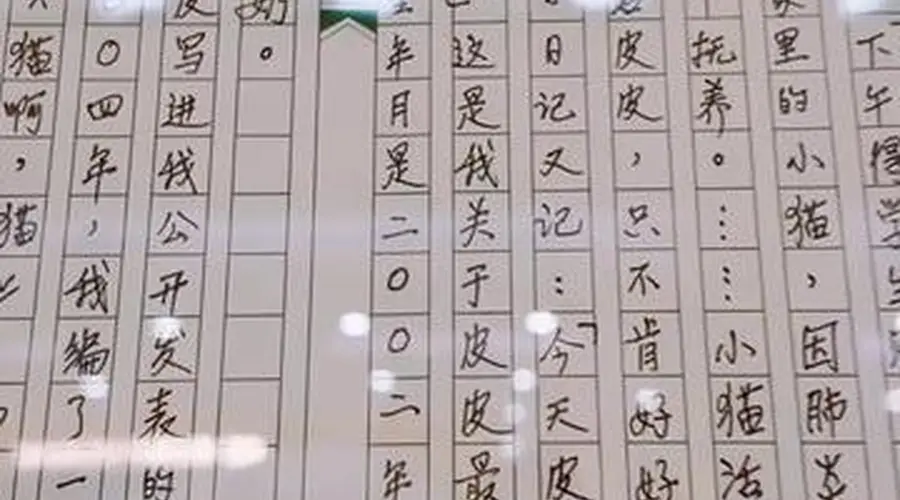 80后作家甫跃辉:“笔会”给我巨大的信任与催促
