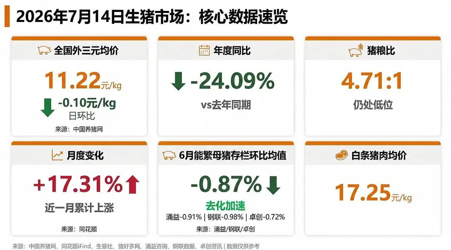 涌益/钢联/卓创三方同步确认6月能繁去化加速!机构提示:二育退潮后猪价短期或承压