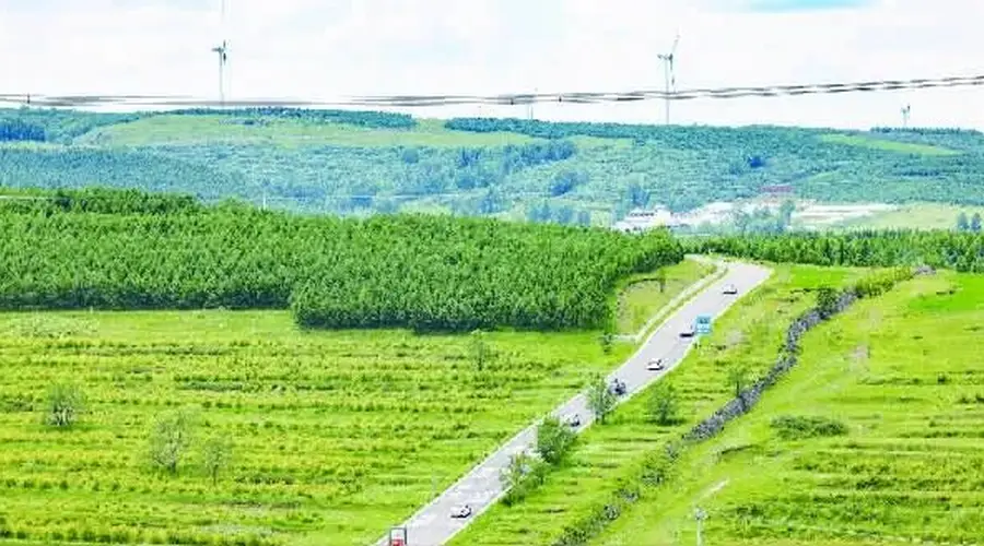 逃离酷暑,奔赴张家口的21℃清凉盛夏