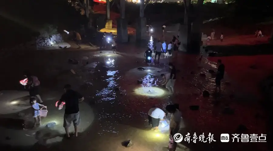 山海天太公岛牡蛎公园：夜幕赶海乐翻天 海岸变身寻宝乐园