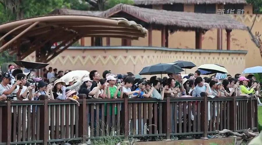 广东暑期文旅上新 生态体验激发新动能