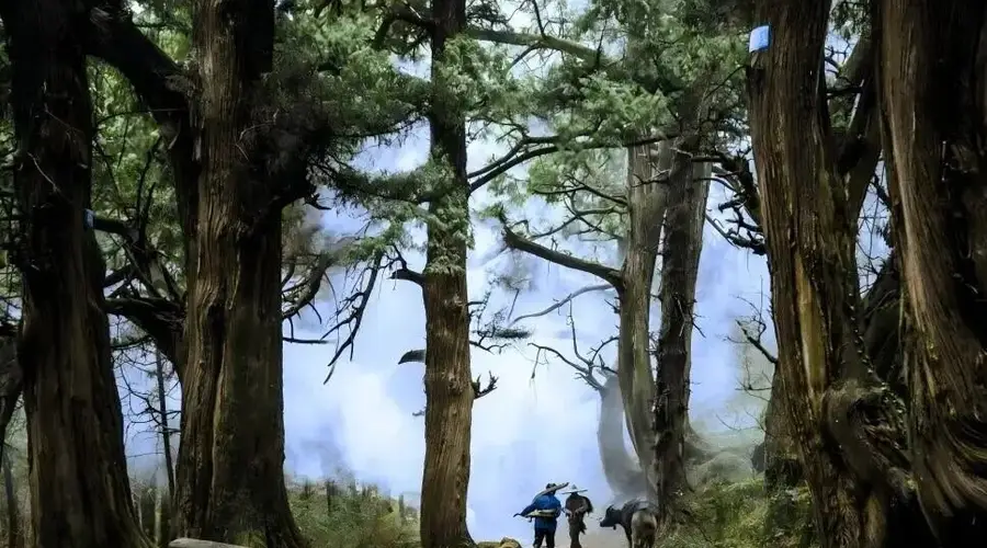 古道新途 相映成辉绵阳公路串联山水画卷