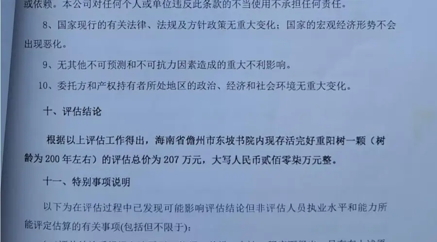 海南百年重阳树被警方扣押后遭林业局赠送 村民申诉多年被高院驳回再审申请
