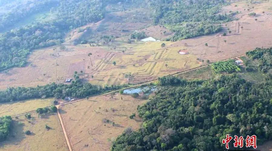 亚马孙Aquiry地区考古新发现 土墩遗存或达2.4万至3万处