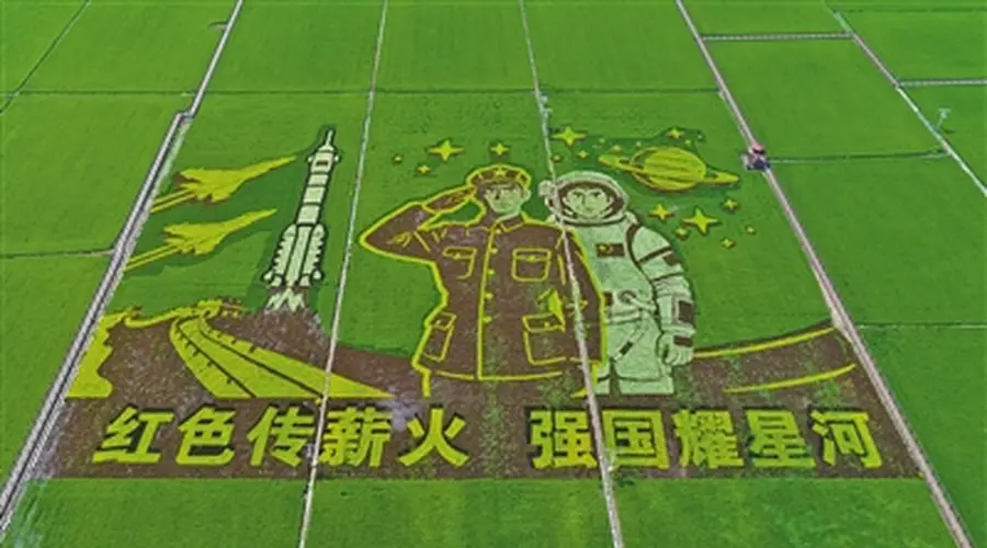 兴安盟扎赉特旗彩色水稻插出3D立体稻田画
