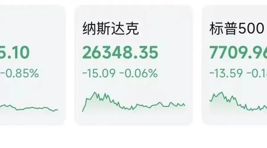 昨夜美股存储芯片巨头跳水 同日AI应用股普跌拖累标普500